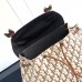 Dior Hit The Road Backpack price