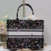 Stylish Replica Dior Book Tote with classic design