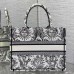 Dior Book Tote in Classic White and Black
