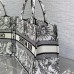 Stylish Dior Book Tote with White and Black Design