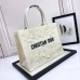 Luxury Dior Book Tote displayed on a stylish surface
