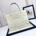 Dior Book Tote in classic monogram print