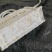 Mini Dior Book tote