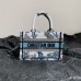 Mini Dior Book Tote front view