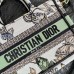 Fashionable Dior Book Tote