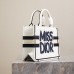 Dior Book Tote in Elegant White Design